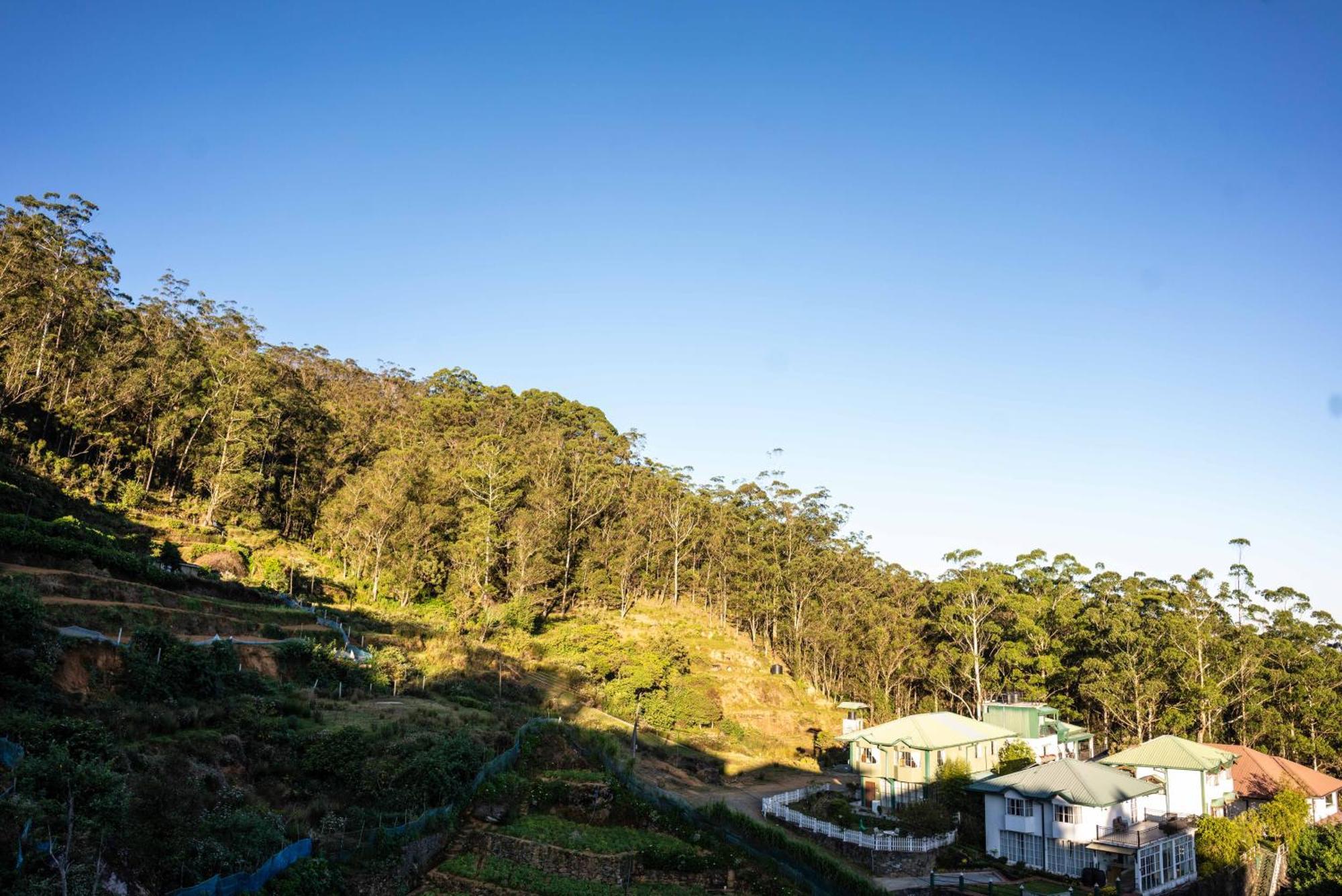 Forest View Lodge Nuwara Eliya Bagian luar foto