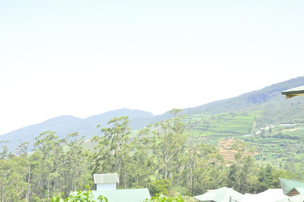 Forest View Lodge Nuwara Eliya Bagian luar foto